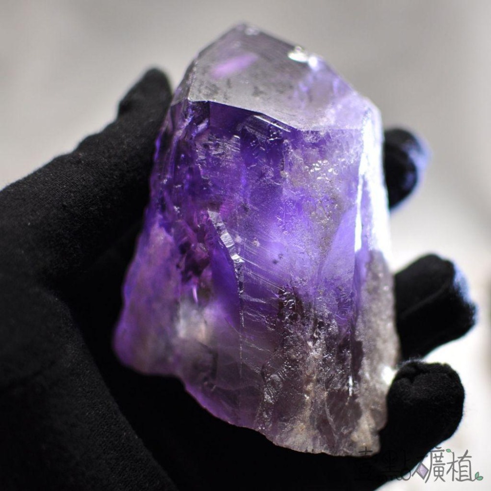 ❖晶礦❖晶柱 權杖 水晶 Scepter Quartz 水晶權杖 天然礦石 附底座 超美♥-細節圖4