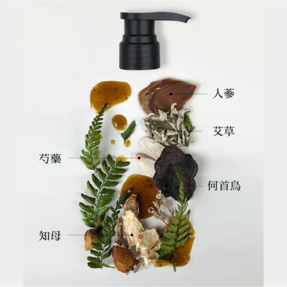 KAFEN 卡氛 加大版 療癒草本洗髮系列800ml（艾草控油）-細節圖4