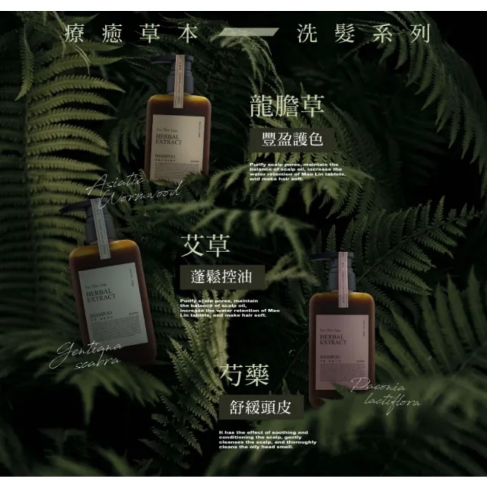 KAFEN 卡氛 加大版 療癒草本洗髮系列800ml（艾草控油）-細節圖8