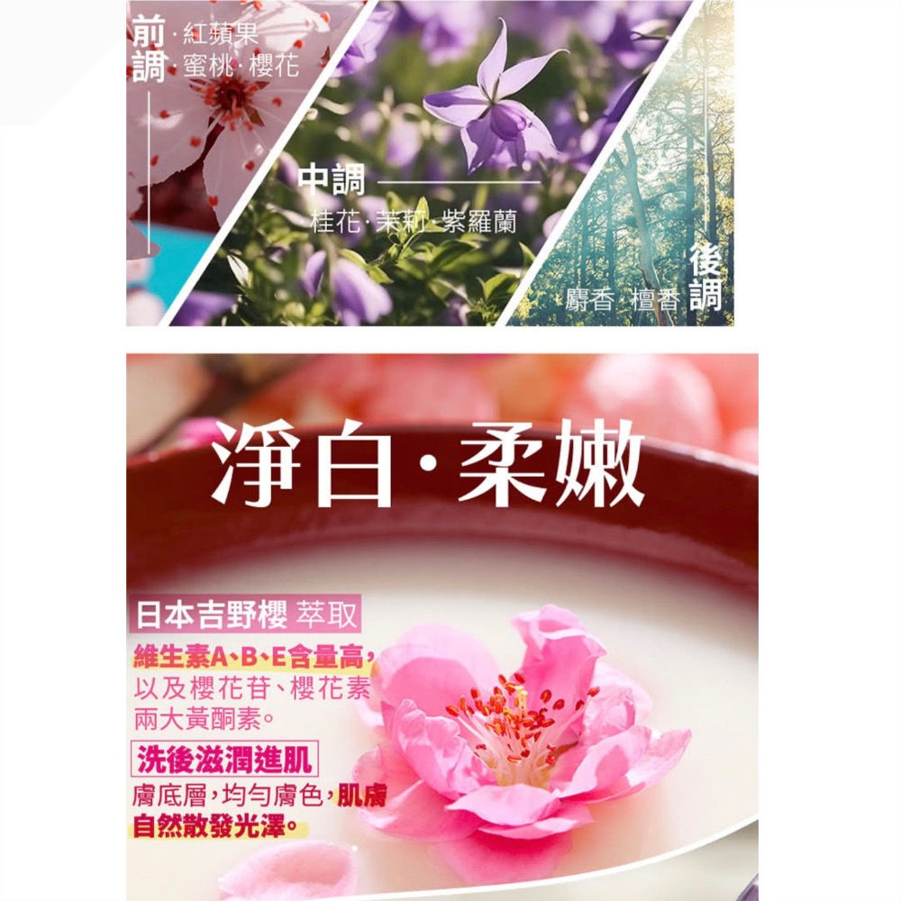 古寶無患子沐潤烏木玫瑰/罌粟花與白麝香/小雛菊無花果/小蒼蘭沐浴露1000g-細節圖3
