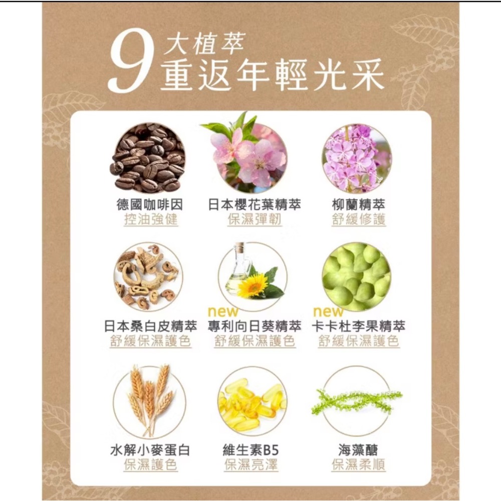 日本黑淬絲咖啡因保濕護色洗髮精(清新含羞草)升級版-細節圖8