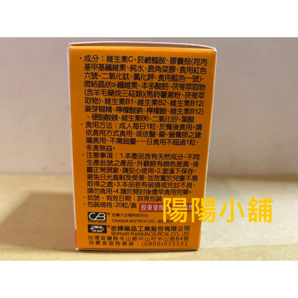 3724.【陽陽小舖】股東會紀念品 杏輝 茯苓善補B群 20粒 素食膠囊 食品 效期2027.08-細節圖2
