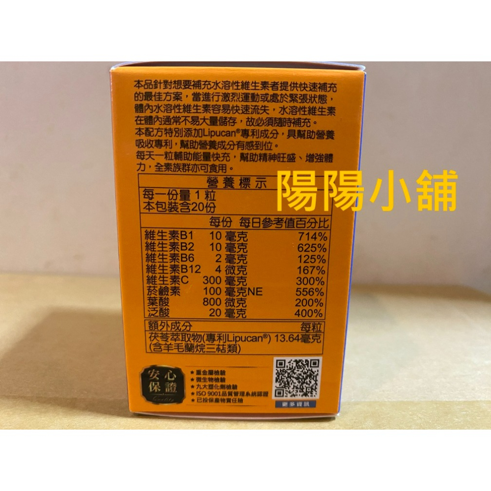 3724.【陽陽小舖】股東會紀念品 杏輝 茯苓善補B群 20粒 素食膠囊 食品 效期2027.08-細節圖3