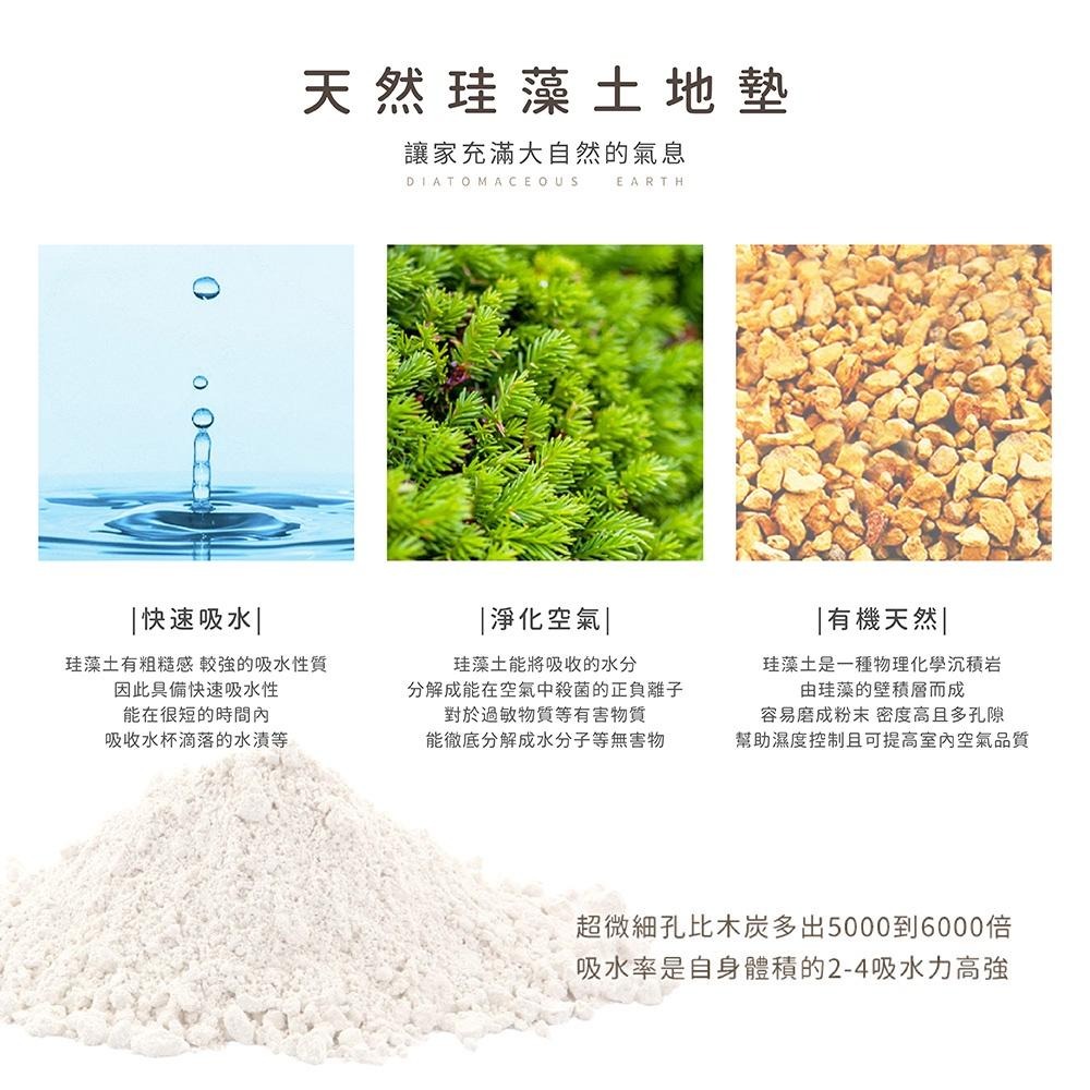 迪士尼 Disney 軟式珪藻土地墊 60x40x0.5 唐老鴨/硅藻土/腳踏墊/防潮【5ip8】DN0400-細節圖5