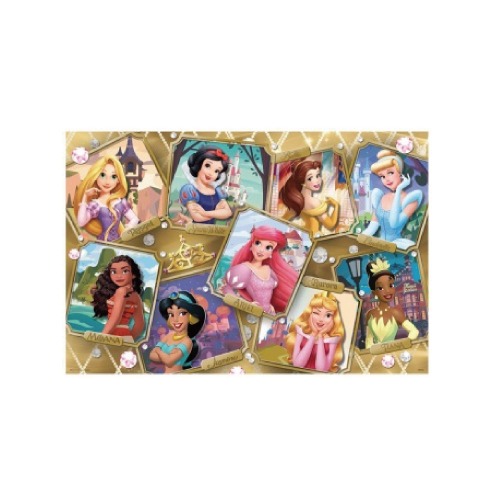Disney Princess公主