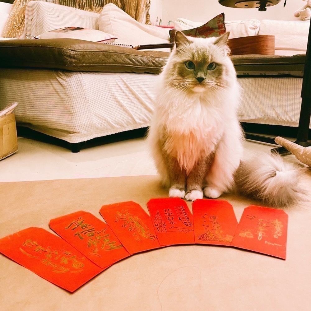 🧧救星下凡庸俗紅包袋 - 龍年改版🧧-細節圖5