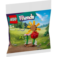 【群樂】袋裝 LEGO 30659	Flower Garden