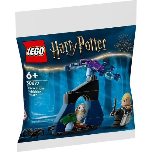 【群樂】袋裝 LEGO 30677 Draco in the Forbidden Forest