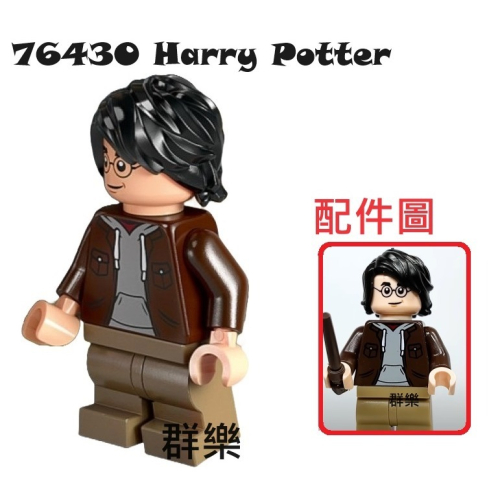 【群樂】LEGO 76430 人偶 Harry Potter