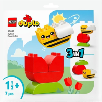 【群樂】袋裝 LEGO 30686	My First Flower &amp; Bee