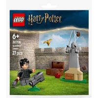 【群樂】袋裝 LEGO 30706	Quidditch Lesson