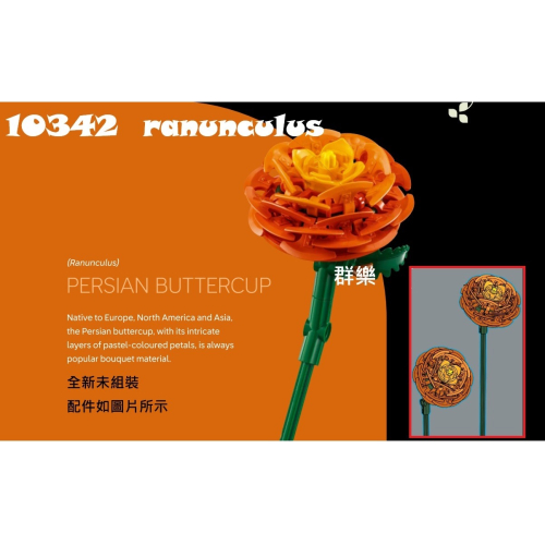 【群樂】LEGO 10342 拆賣 Ranunculus - 群樂(專營樂高盒組、人偶、場景) - iOPEN Mall