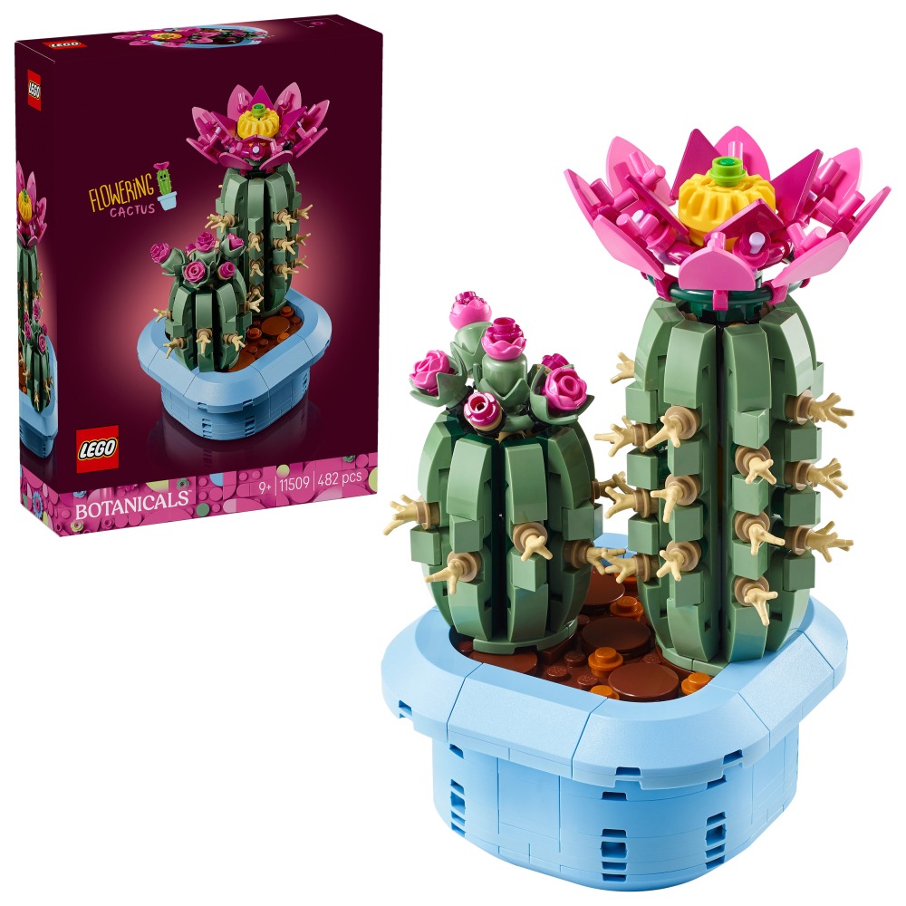 【群樂】盒組 LEGO 11509	Botanicals 開花仙人掌-細節圖3