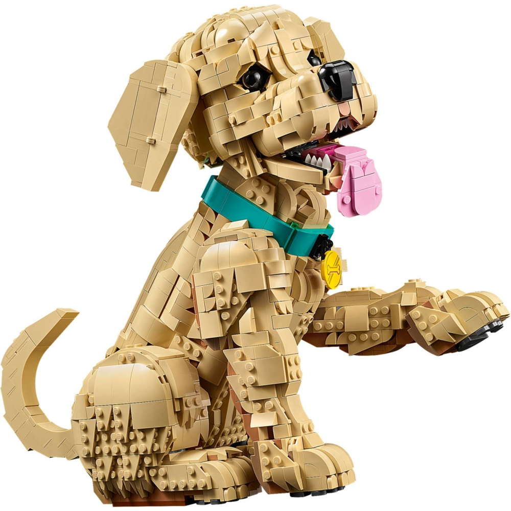可刷卡 【群樂】建議選郵寄 盒組 LEGO 11384	Golden Retriever Puppy-細節圖4