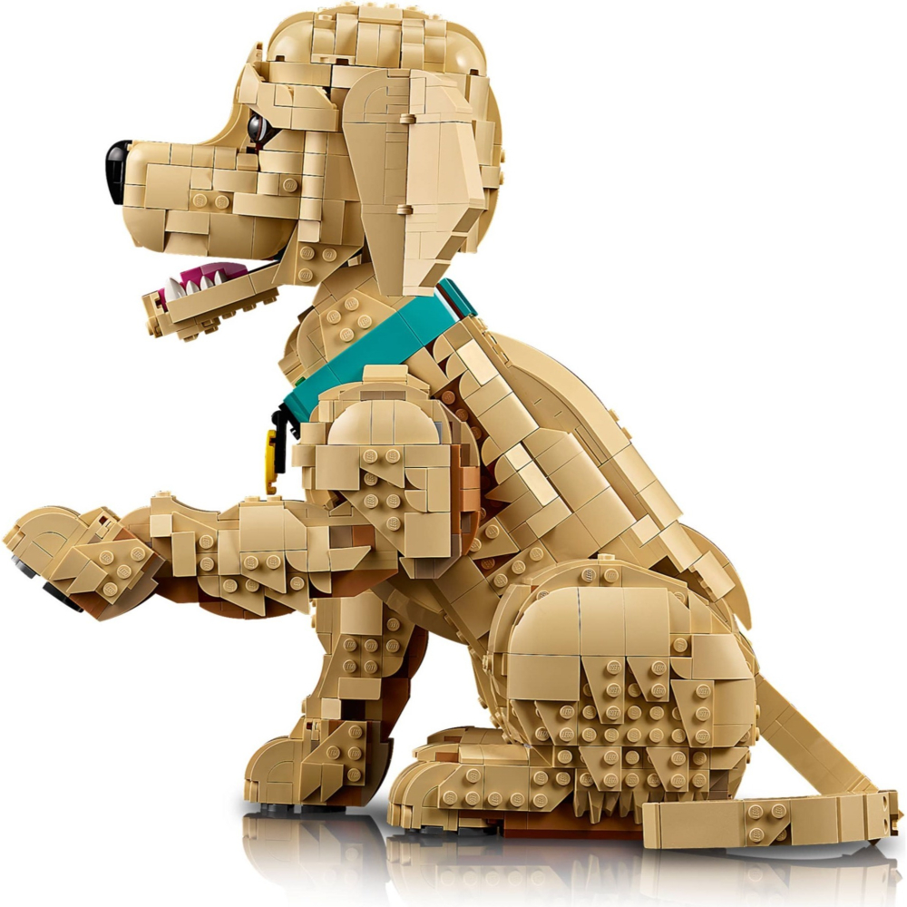 可刷卡 【群樂】建議選郵寄 盒組 LEGO 11384	Golden Retriever Puppy-細節圖5