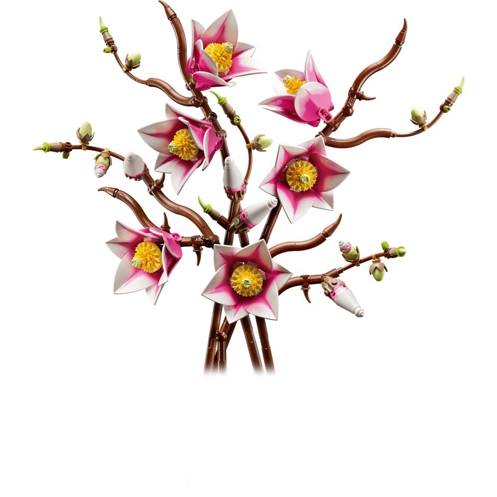 【群樂】盒組 LEGO 11510 Botanicals-木蘭枝 202603-細節圖3