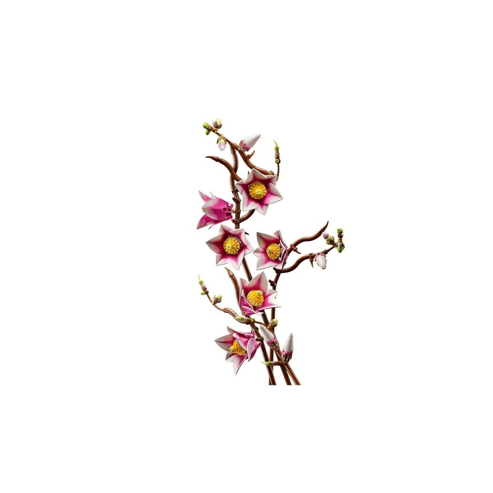 【群樂】盒組 LEGO 11510 Botanicals-木蘭枝 202603-細節圖5