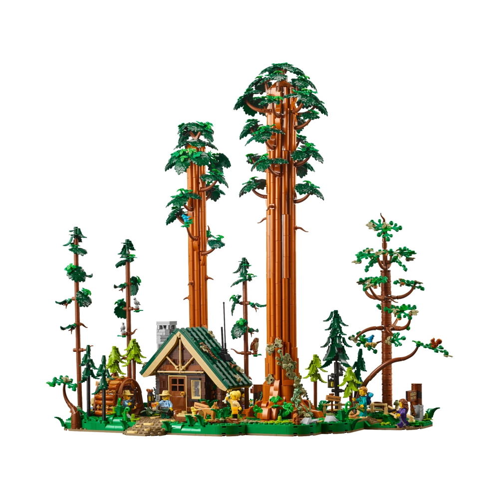 【群樂】建議選郵寄 盒組 LEGO 910058	Sequoia Tree Trail-細節圖2