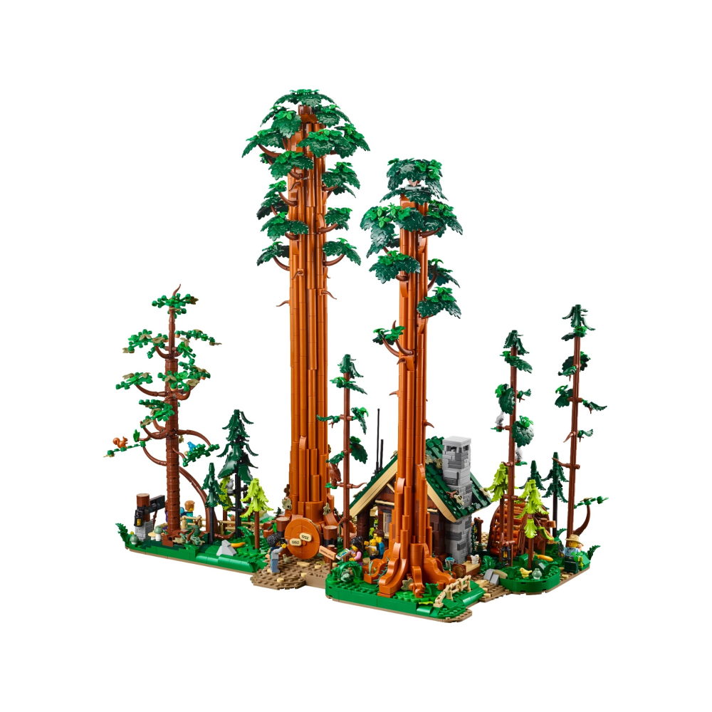【群樂】建議選郵寄 盒組 LEGO 910058	Sequoia Tree Trail-細節圖3