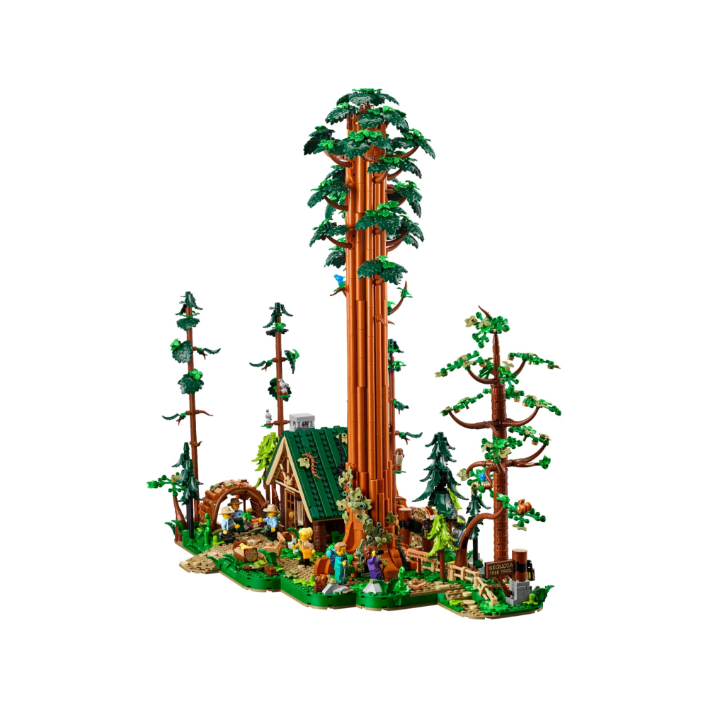 【群樂】建議選郵寄 盒組 LEGO 910058	Sequoia Tree Trail-細節圖4