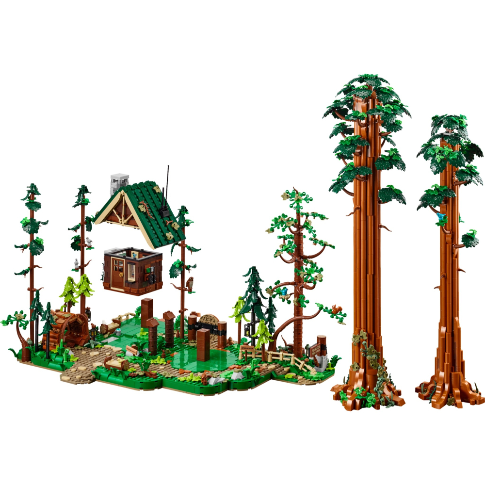 【群樂】建議選郵寄 盒組 LEGO 910058	Sequoia Tree Trail-細節圖5
