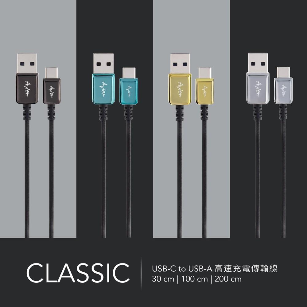 【Avier】CLASSIC USB A to Type-C 編織高速充電傳輸線 2M - 啞鉑金-細節圖2