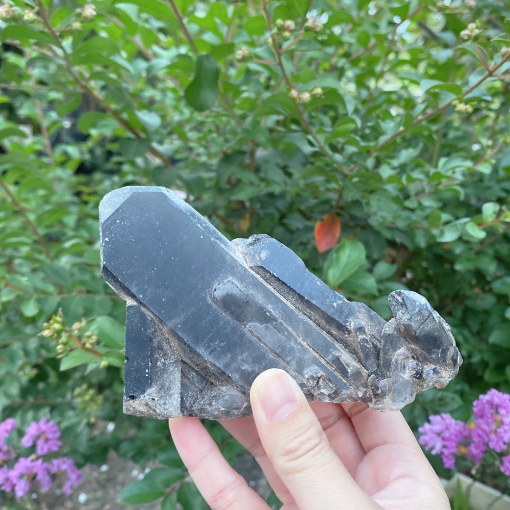 BKL天然巴西墨晶簇·附訂製木頭底座-細節圖2