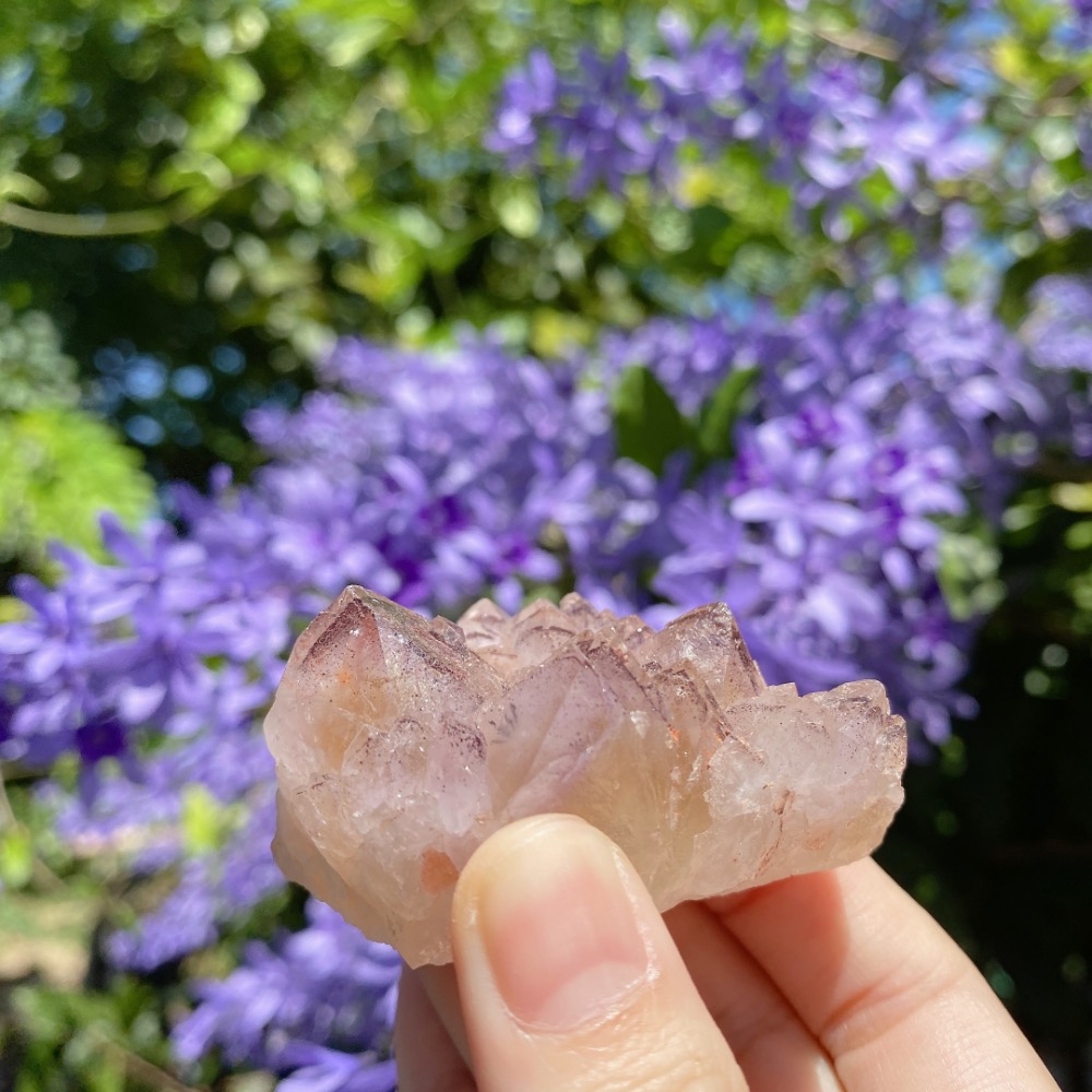 BKL原礦四川花園超七-細節圖4