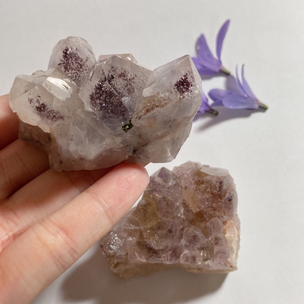 BKL原礦四川花園超七-細節圖10