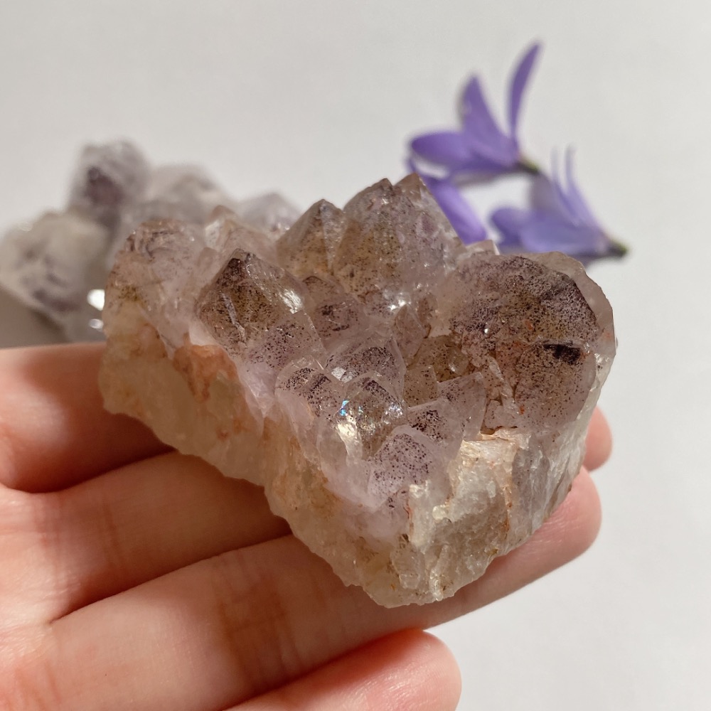 BKL原礦四川花園超七-細節圖11