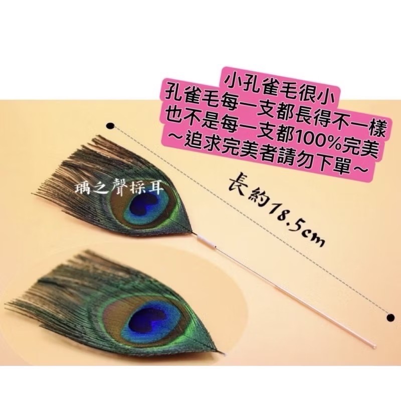 瑀之聲採耳毛類工具/彩色鵝毛芙蓉毛/扇形孔雀毛/鴕鳥毛/盤龍柄小孔雀棒/鴿子毛/孔雀絨毛/雪絨毛-規格圖1