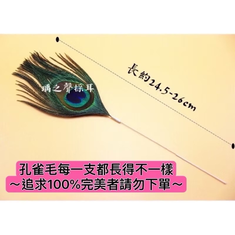 瑀之聲採耳毛類工具/彩色鵝毛芙蓉毛/扇形孔雀毛/鴕鳥毛/盤龍柄小孔雀棒/鴿子毛/孔雀絨毛/雪絨毛-規格圖1
