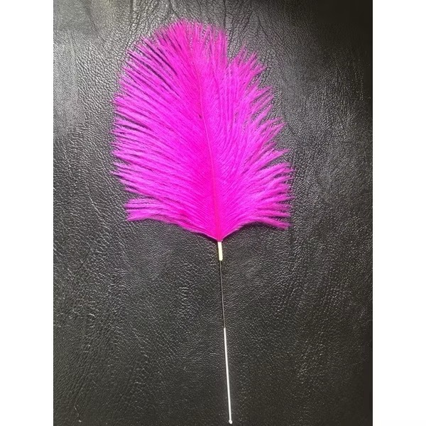 瑀之聲採耳毛類工具/彩色鵝毛芙蓉毛/扇形孔雀毛/鴕鳥毛/盤龍柄小孔雀棒/鴿子毛/孔雀絨毛/雪絨毛-規格圖1