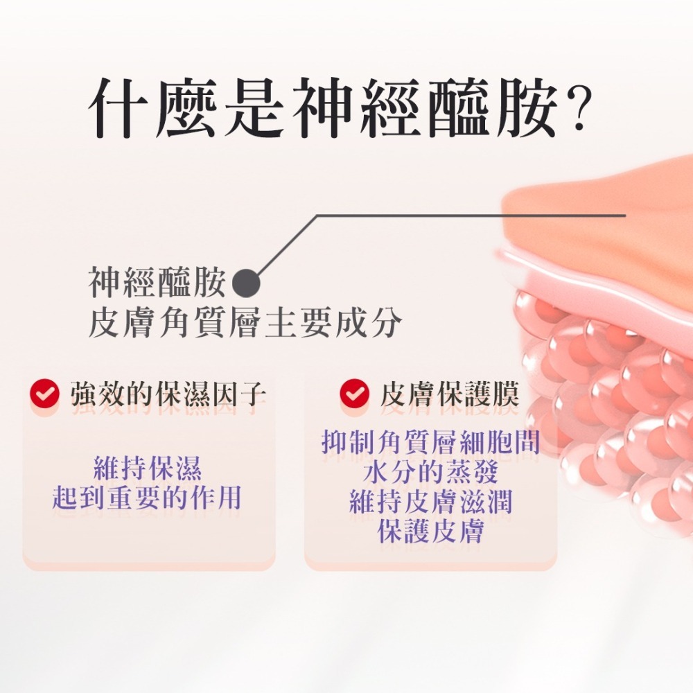 6重神經醯胺+小分子玻尿酸精華-細節圖3