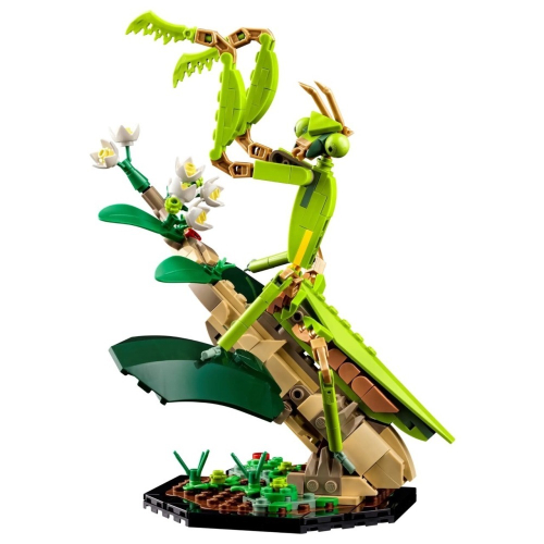 【台中翔智積木】LEGO 樂高 21342 拆售 中華大刀螳（Tenodera sinensis）螳螂