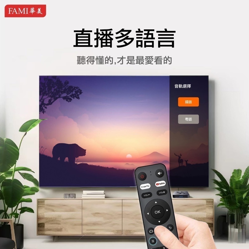 華美電視盒年終促銷專案-細節圖8