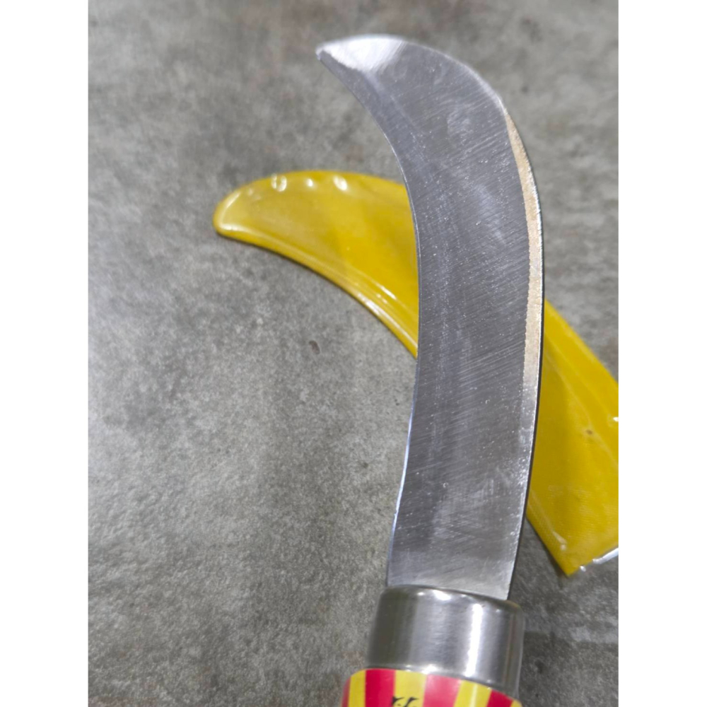 (巧雲家) 西德鋼 小白菜刀 香蕉刀 鐮刀 彎刀 香蕉 割菜 小刀 蕉刀 刀子 刀 大割刀 長刀 短刀 水果刀 禾刀-細節圖4