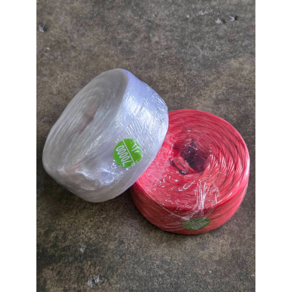 (巧雲家) 金龍牌 包裝帶 7000D 台灣製 紅 藍 黑 白 橘 黃 綠 紫 塑膠繩 包裝繩 塑膠帶 PP繩 彩帶繩-細節圖2