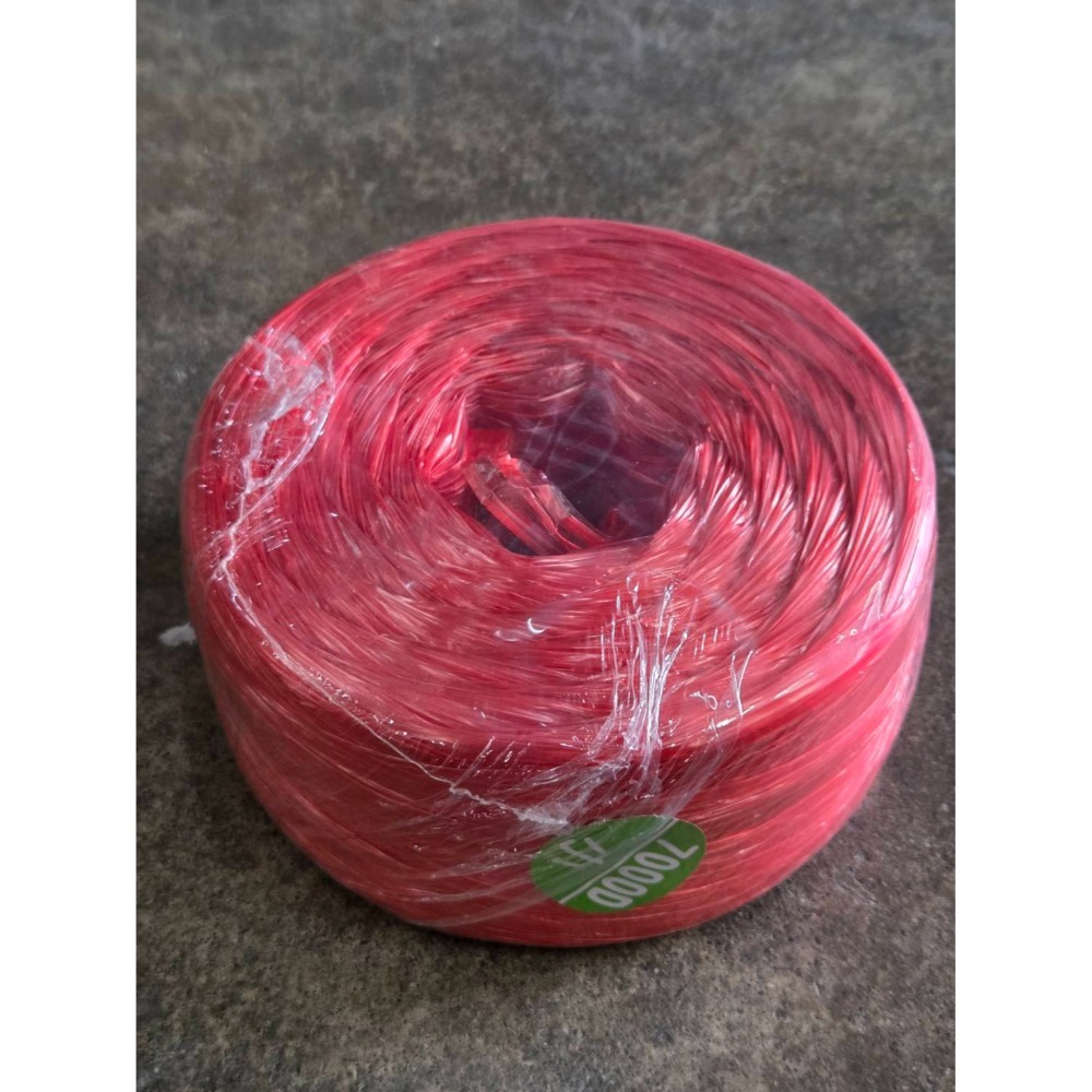 (巧雲家) 金龍牌 包裝帶 7000D 台灣製 紅 藍 黑 白 橘 黃 綠 紫 塑膠繩 包裝繩 塑膠帶 PP繩 彩帶繩-規格圖6