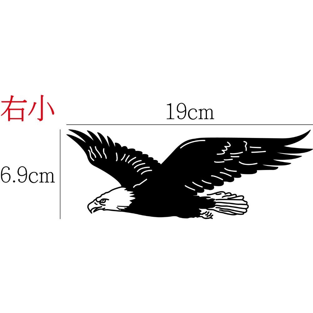 [PWTW] [左右單] 猛禽 老鷹 鳥 鳥類 割字 車貼 防水貼紙 貼紙 動物 普惠-規格圖4
