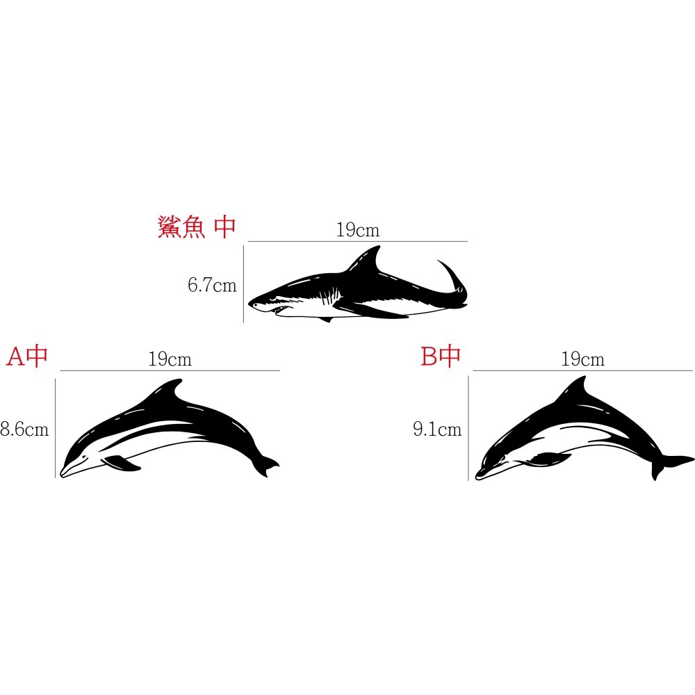 [PWTW] 海豚 鯨魚 鯊魚 鯨豚 割字 車貼 防水貼紙 貼紙 魚 海洋生物-細節圖2