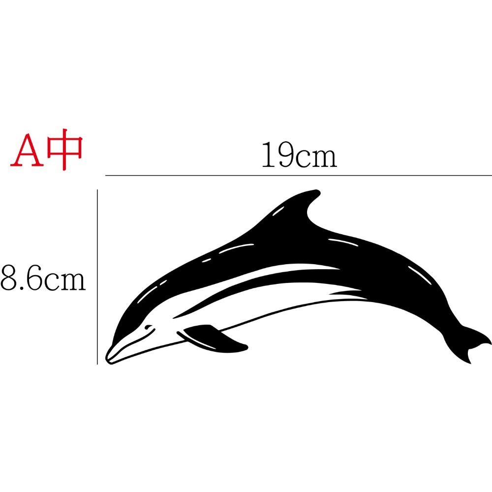 [PWTW] 海豚 鯨魚 鯊魚 鯨豚 割字 車貼 防水貼紙 貼紙 魚 海洋生物-規格圖4