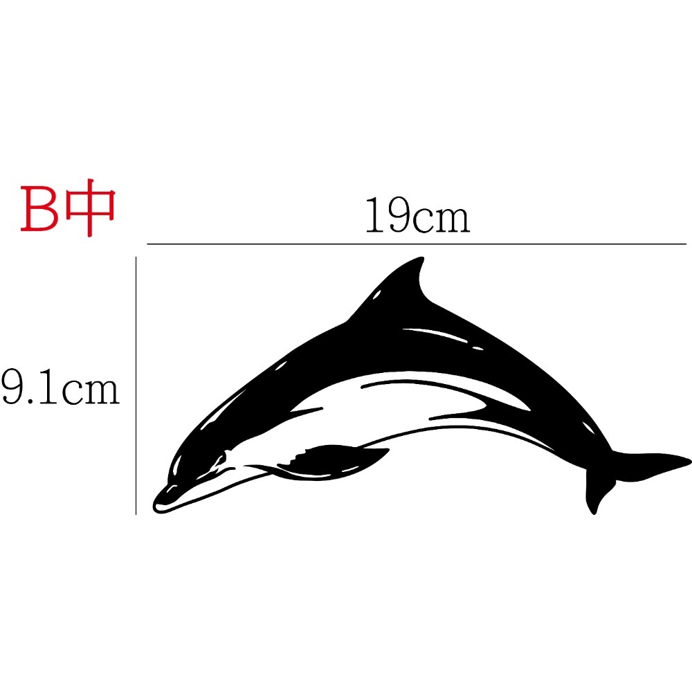 [PWTW] 海豚 鯨魚 鯊魚 鯨豚 割字 車貼 防水貼紙 貼紙 魚 海洋生物-規格圖4