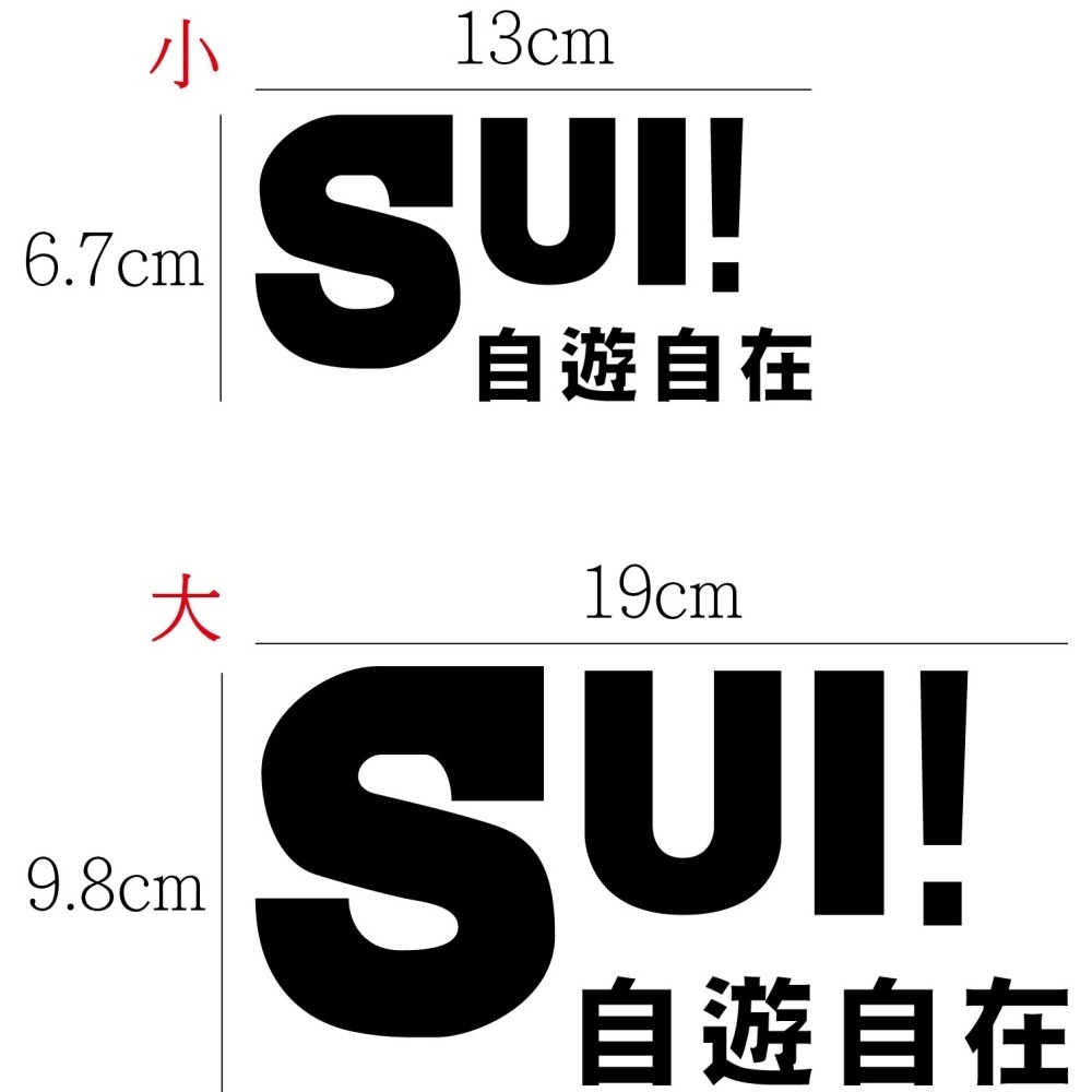 [PWTW] Suzuki SUI 台鈴 改裝貼紙 貼紙 防水貼紙 彩繪貼紙 車貼 車身貼紙 機車彩繪-細節圖3
