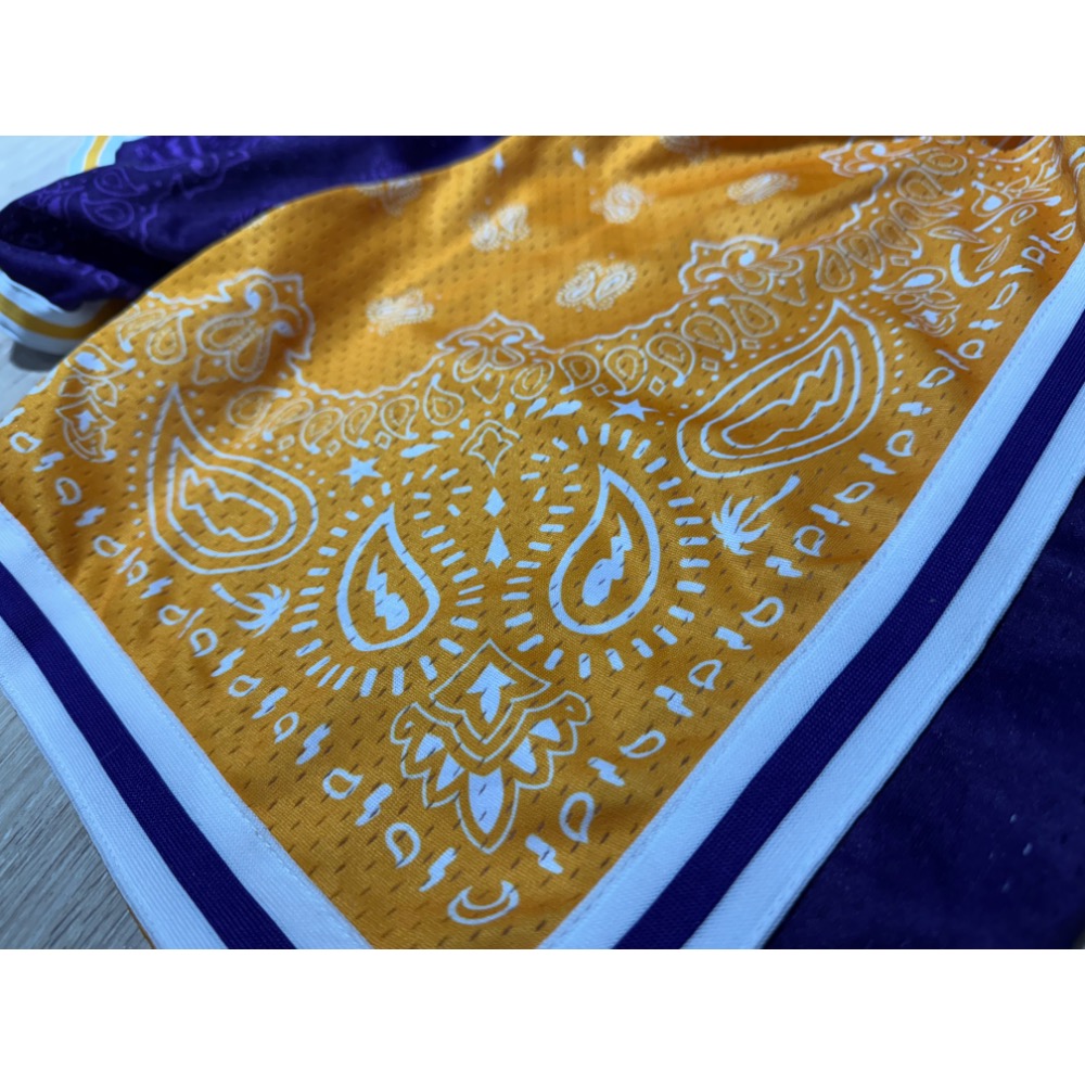 CS 湖人變形蟲拼接L 球褲-細節圖2