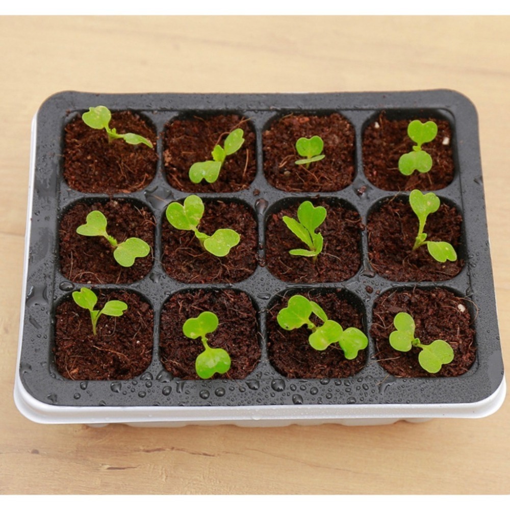 12穴附蓋育苗盆｜苗盤｜有蓋子好保濕｜水不外流｜簡單管理｜園藝資材｜蔬菜栽培｜｜花盆｜多肉｜育苗盒｜ 育苗盤-細節圖3