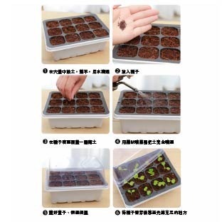12穴附蓋育苗盆｜苗盤｜有蓋子好保濕｜水不外流｜簡單管理｜園藝資材｜蔬菜栽培｜｜花盆｜多肉｜育苗盒｜ 育苗盤-細節圖4