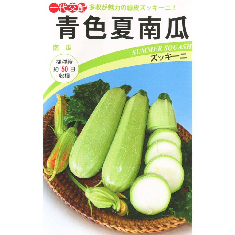 現貨）各色節瓜種子｜夏南瓜｜45~48天可採收｜蔬菜專業戶｜蔬菜種子｜園藝 ｜超高發芽率｜開心農場｜-細節圖2