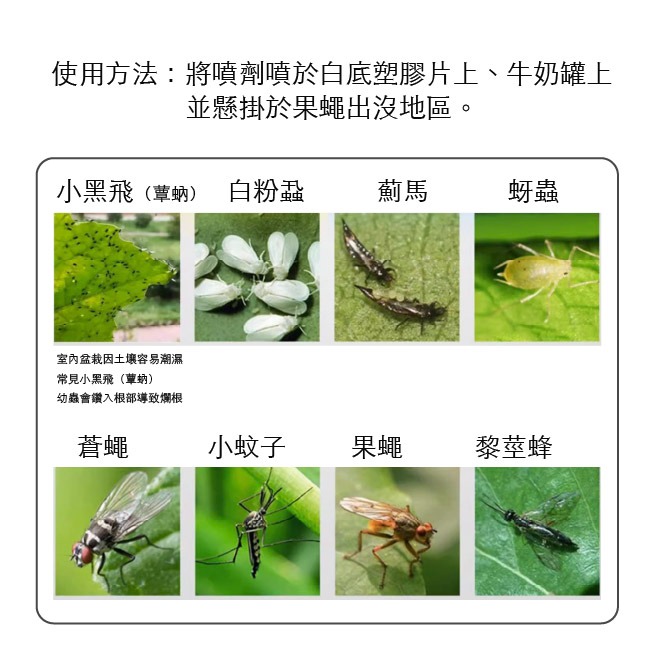 果蠅剋星｜總黏-昆蟲物理誘黏劑 600ml-細節圖2