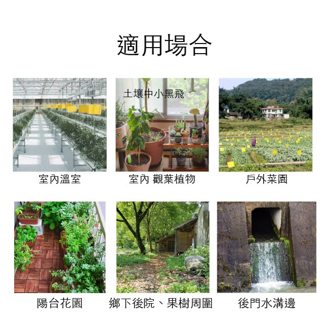 果蠅剋星｜總黏-昆蟲物理誘黏劑 600ml-細節圖3